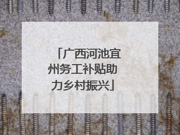 广西河池宜州务工补贴助力乡村振兴