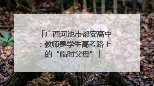 广西河池市都安高中：教师是学生高考路上的“临时父母”