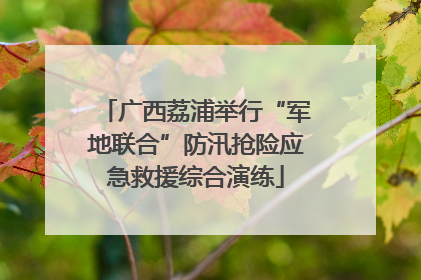 广西荔浦举行“军地联合”防汛抢险应急救援综合演练
