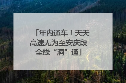 年内通车！天天高速无为至安庆段全线“洞”通
