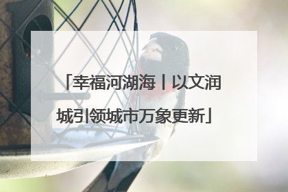幸福河湖海丨以文润城引领城市万象更新