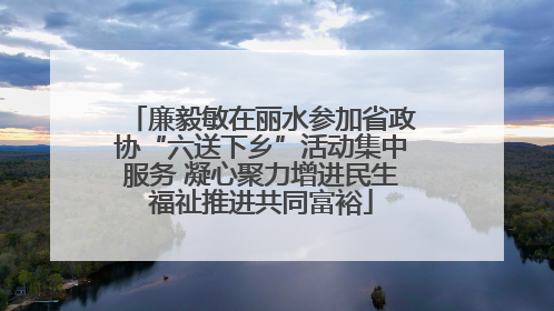 廉毅敏在丽水参加省政协“六送下乡”活动集中服务 凝心聚力增进民生福祉推进共同富裕
