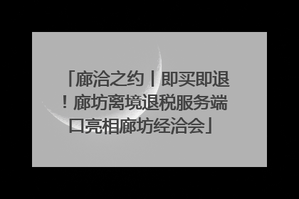 廊洽之约丨即买即退！廊坊离境退税服务端口亮相廊坊经洽会