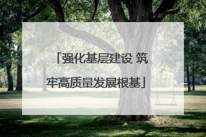 强化基层建设 筑牢高质量发展根基