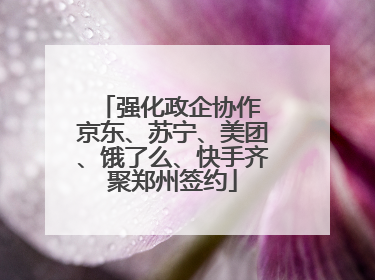 强化政企协作 京东、苏宁、美团、饿了么、快手齐聚郑州签约