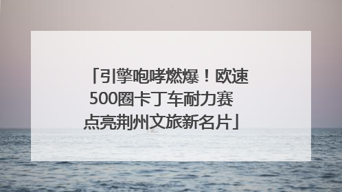 引擎咆哮燃爆！欧速500圈卡丁车耐力赛点亮荆州文旅新名片