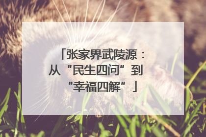 张家界武陵源：从“民生四问”到“幸福四解”