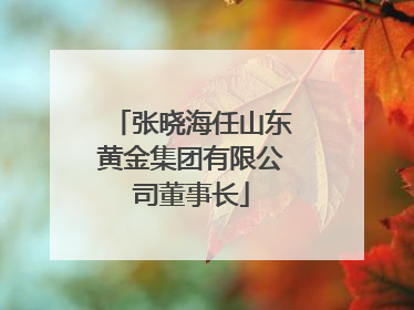张晓海任山东黄金集团有限公司董事长