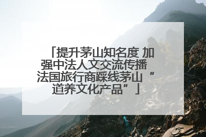 提升茅山知名度 加强中法人文交流传播 法国旅行商踩线茅山“道养文化产品”