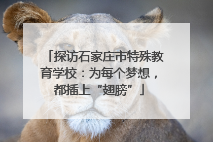 探访石家庄市特殊教育学校：为每个梦想，都插上“翅膀”