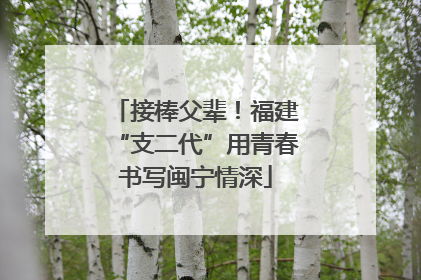 接棒父辈！福建“支二代”用青春书写闽宁情深