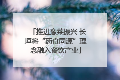 推进豫菜振兴 长垣将“药食同源”理念融入餐饮产业