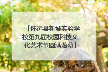 怀远县新城实验学校第九届校园科技文化艺术节圆满落幕