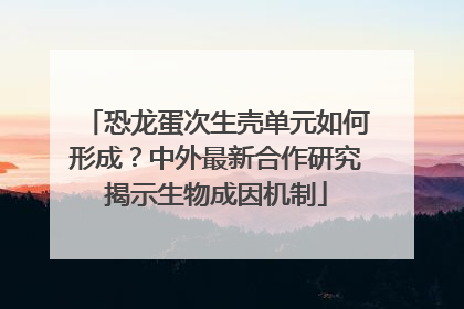 恐龙蛋次生壳单元如何形成？中外最新合作研究揭示生物成因机制