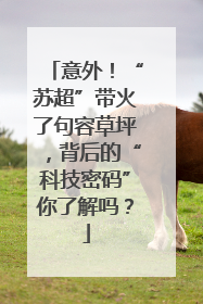 意外！“苏超”带火了句容草坪，背后的“科技密码”你了解吗？