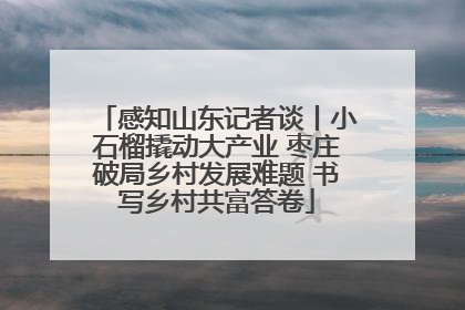 感知山东记者谈丨小石榴撬动大产业 枣庄破局乡村发展难题 书写乡村共富答卷
