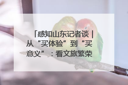 感知山东记者谈｜从“买体验”到“买意义”：看文旅繁荣背后的幸福新定义