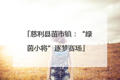 慈利县苗市镇：“绿茵小将”逐梦赛场