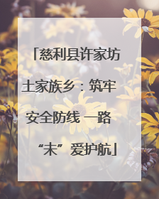 慈利县许家坊土家族乡：筑牢安全防线 一路“未”爱护航