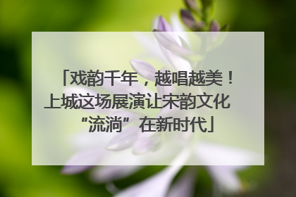戏韵千年，越唱越美！上城这场展演让宋韵文化“流淌”在新时代