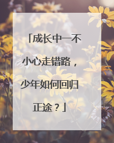 成长中一不小心走错路，少年如何回归正途？