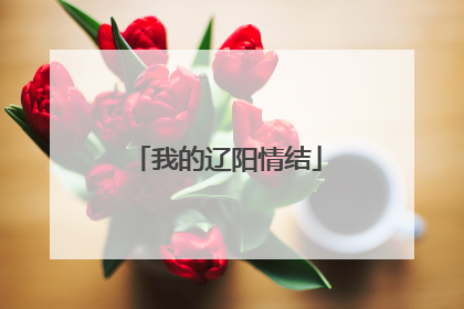 我的辽阳情结