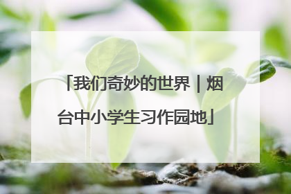 我们奇妙的世界｜烟台中小学生习作园地