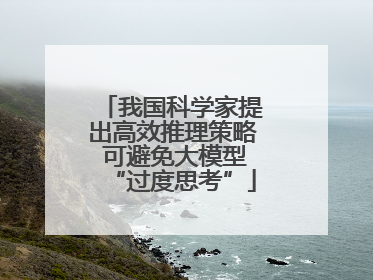 我国科学家提出高效推理策略 可避免大模型“过度思考”