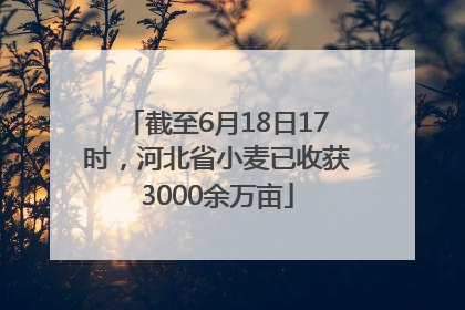 截至6月18日17时，河北省小麦已收获3000余万亩