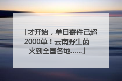 才开始，单日寄件已超2000单！云南野生菌火到全国各地……