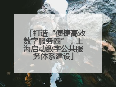 打造“便捷高效数字服务圈”，上海启动数字公共服务体系建设