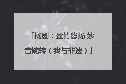 扬剧：丝竹悠扬 妙音婉转（我与非遗）