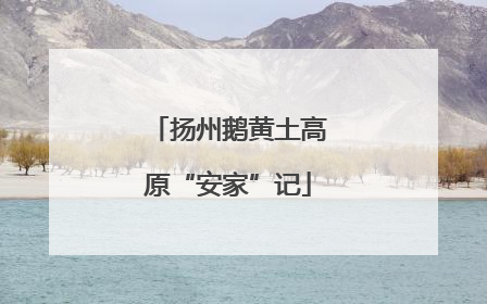 扬州鹅黄土高原“安家”记