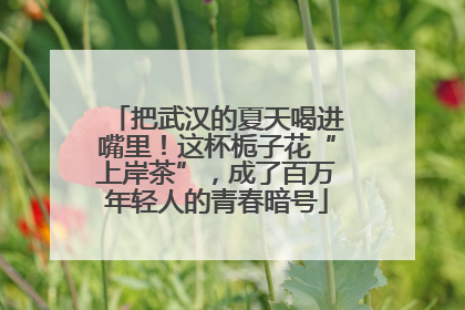把武汉的夏天喝进嘴里！这杯栀子花“上岸茶”，成了百万年轻人的青春暗号