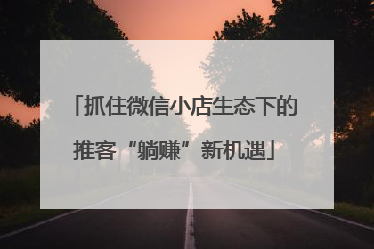 抓住微信小店生态下的推客“躺赚”新机遇
