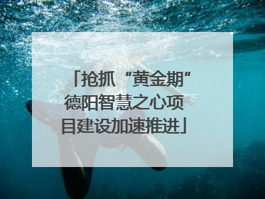 抢抓“黄金期” 德阳智慧之心项目建设加速推进