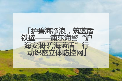 护碧海净浪，筑蓝盾铁壁——浦东海警“沪海安澜·碧海蓝盾”行动织密立体防控网