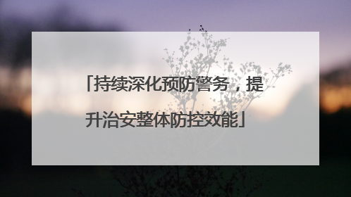 持续深化预防警务，提升治安整体防控效能