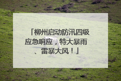 柳州启动防汛四级应急响应，特大暴雨、雷暴大风！