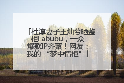 杜淳妻子王灿兮晒整柜Labubu，一众爆款IP齐聚！网友：我的 “梦中情柜”