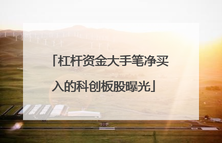杠杆资金大手笔净买入的科创板股曝光