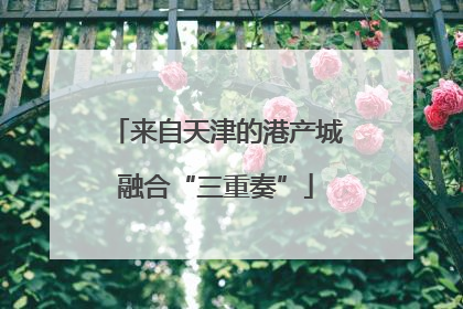 来自天津的港产城融合“三重奏”