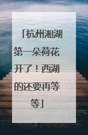 杭州湘湖第一朵荷花开了！西湖的还要再等等
