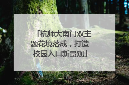 杭师大南门双主题花境落成，打造校园入口新景观