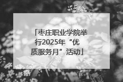 枣庄职业学院举行2025年“优质服务月”活动