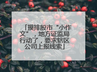 摸排股市“小作文”，地方证监局行动了，要求辖区公司上报线索