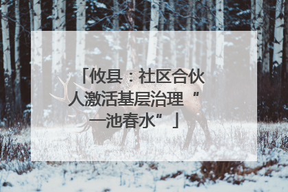 攸县：社区合伙人激活基层治理“一池春水”