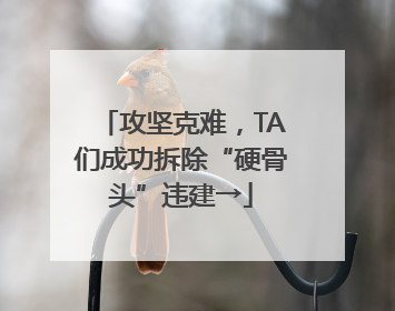 攻坚克难，TA们成功拆除“硬骨头”违建→