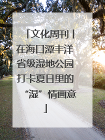 文化周刊丨在海口潭丰洋省级湿地公园打卡夏日里的“湿”情画意