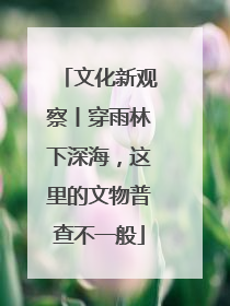 文化新观察丨穿雨林下深海，这里的文物普查不一般
